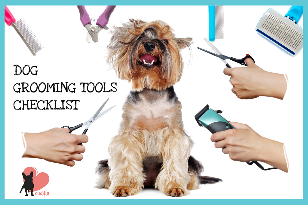 Dog Grooming At Home Tips The Ultimate Guide