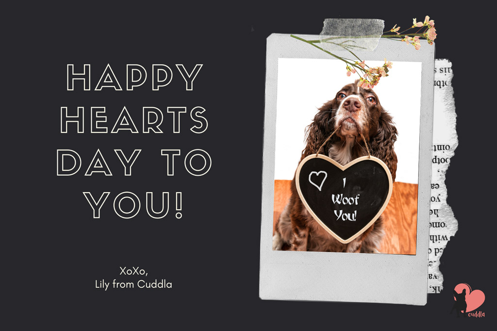 dog-happy-valentines-day