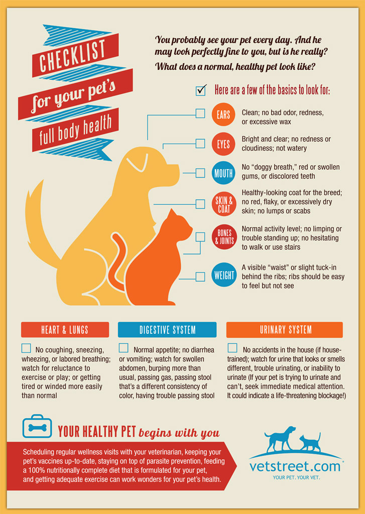 dog-health-checklist