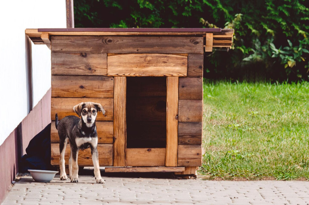 dog-house-outdoors