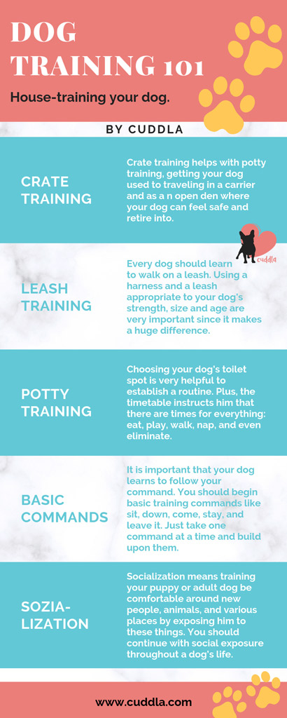 dog-house-training-steps