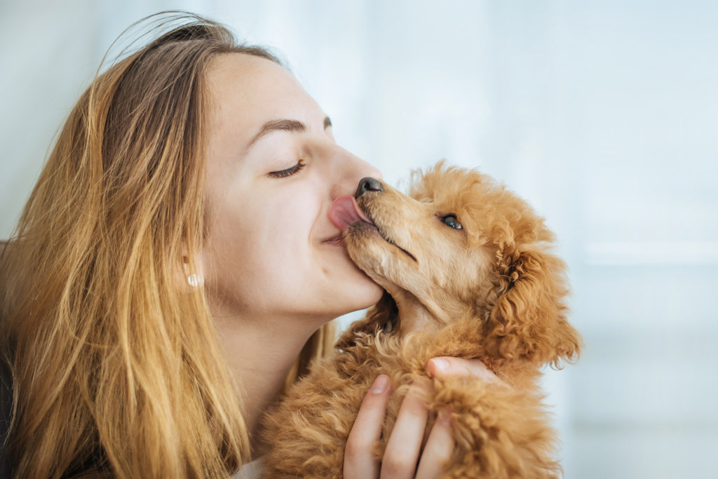 dog-kisses-body-language