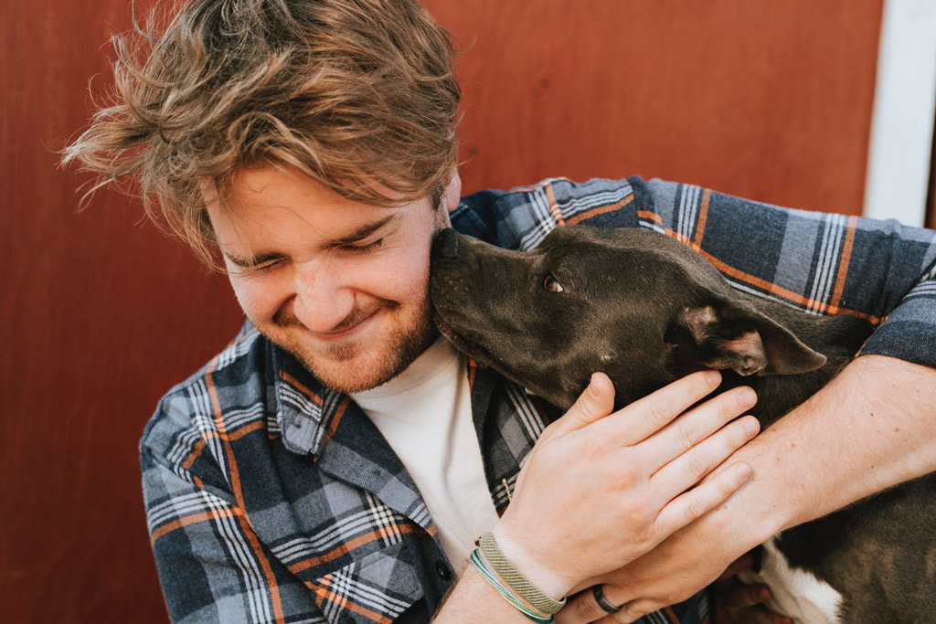 dog-nosing-body-language