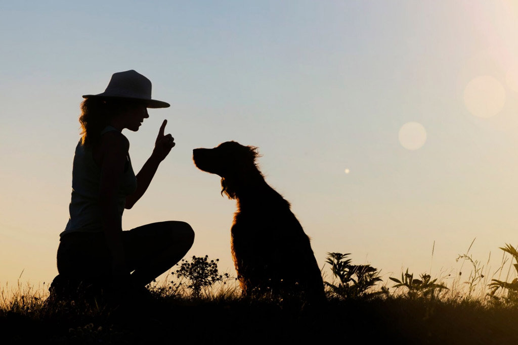 dog-obedience-training