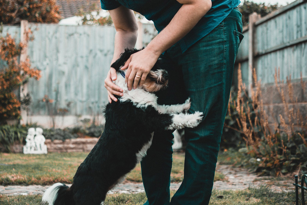 dog-owner-sharing-bond