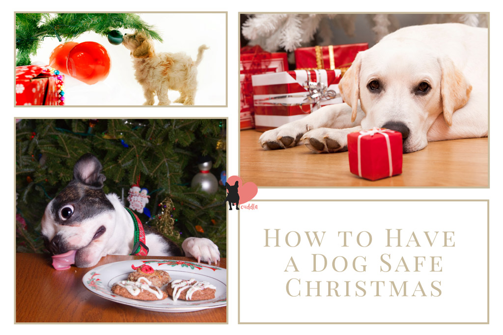 dog-safe-christmas