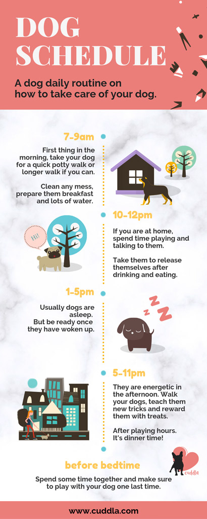 Dog Care: The 5 Pillars to a Happy and Healthy Pooch - Cuddla