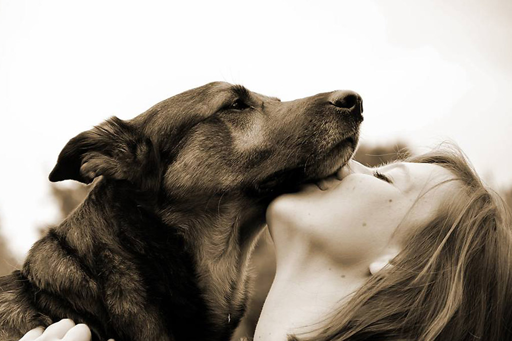 dog-stress-signs-kissing