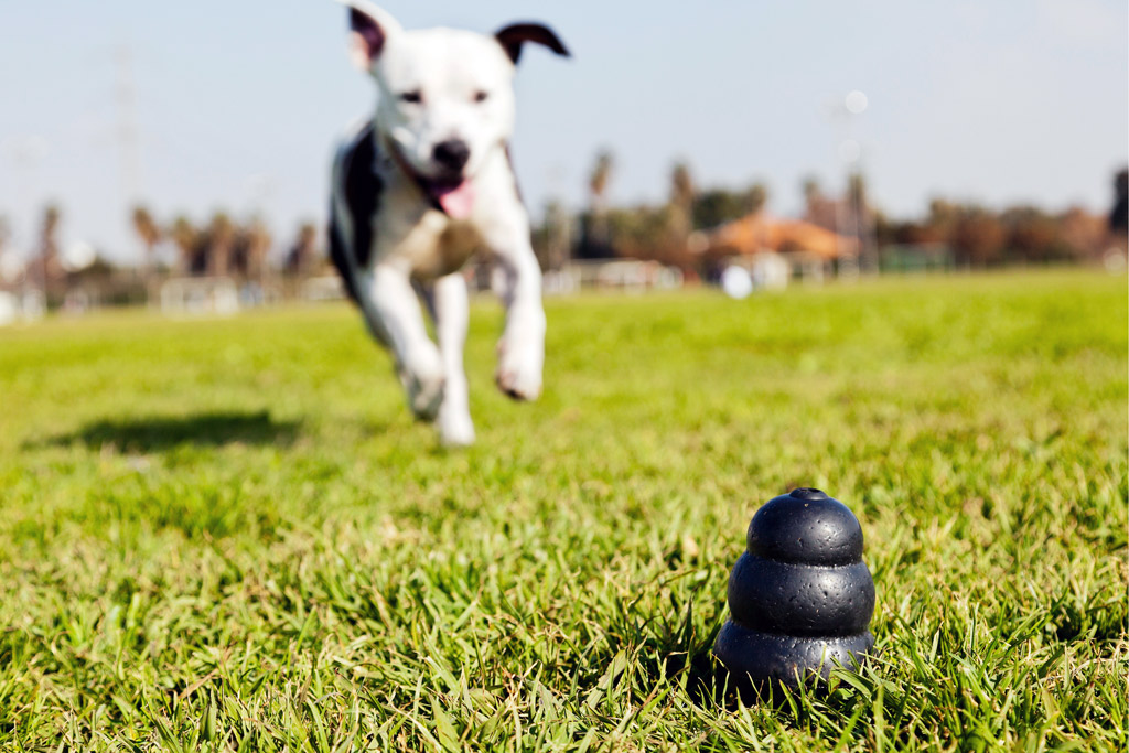 dog-toys-kong-extreme-rubber