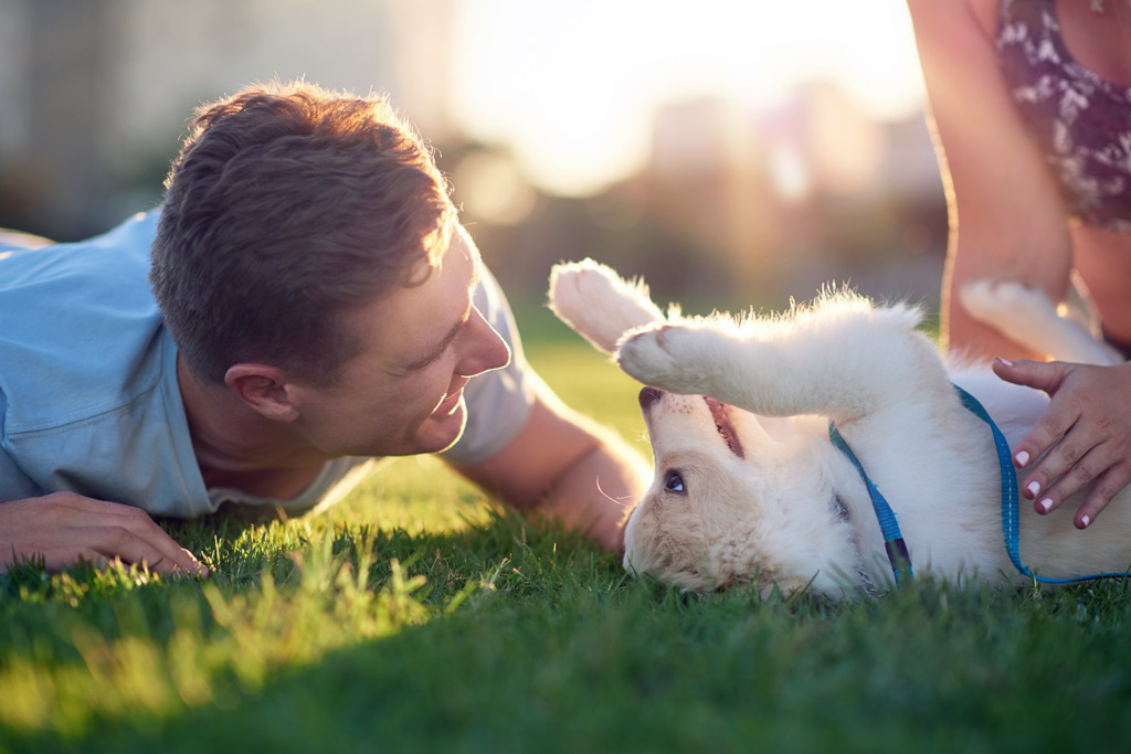 dog-training-benefits-bonding