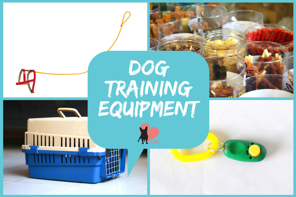 dog-training-equipment