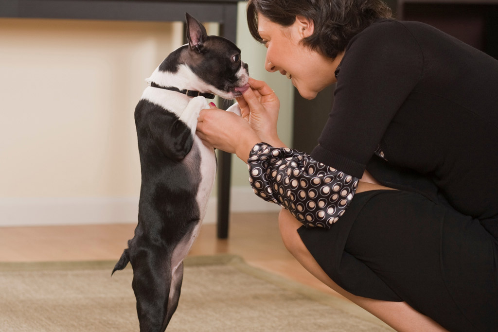 dog-training-tricks