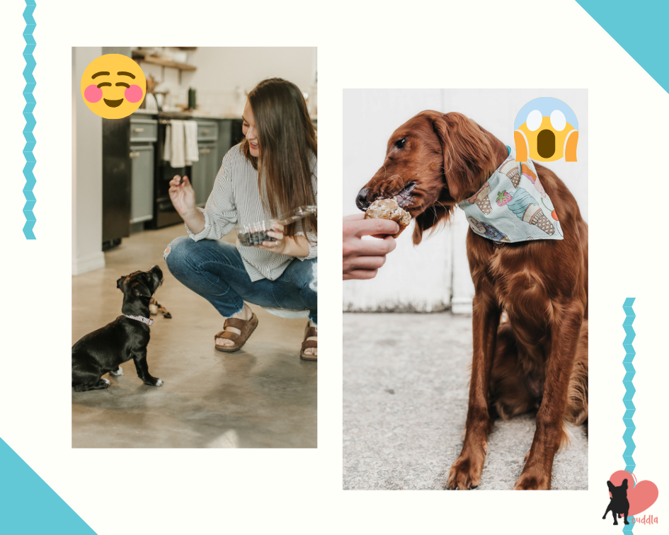 dog-treats-good-vs-bad-collage