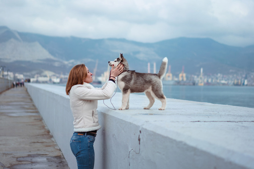 dog-walks-alternatives-with-lead