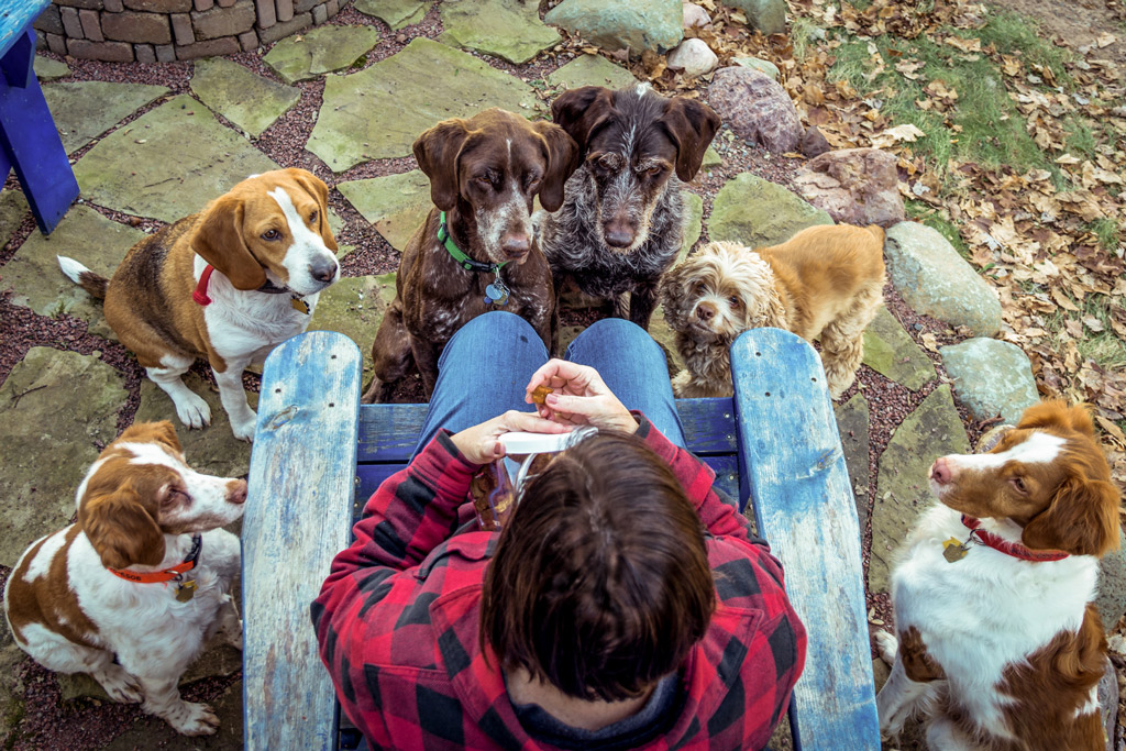 high-value-dog-treats