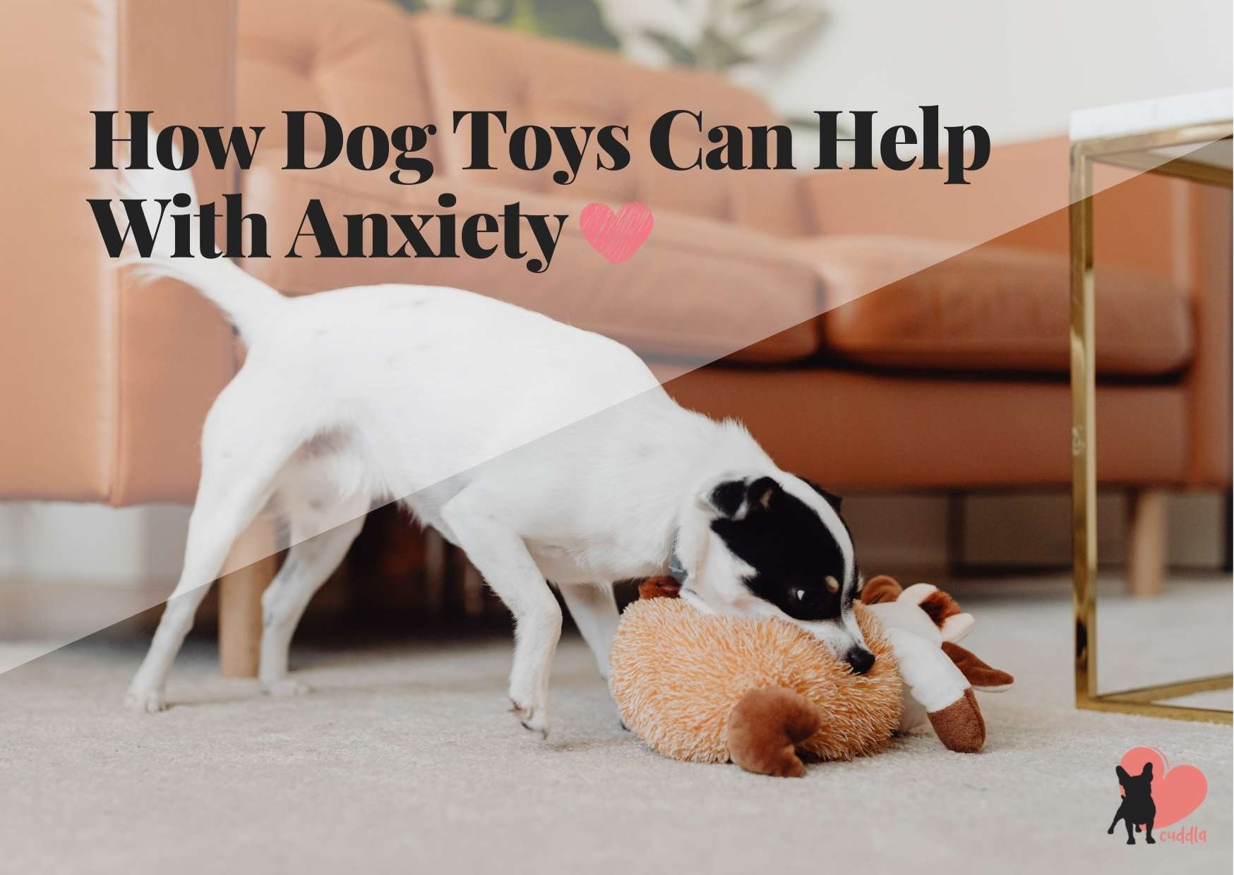 how-dog-toys-can-help-with-anxiety-1