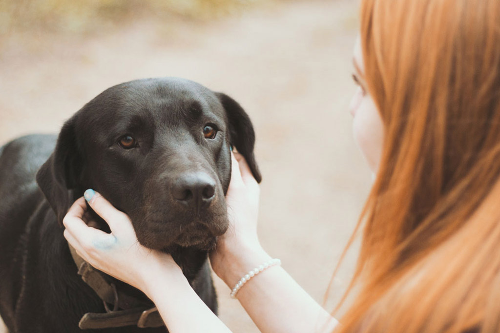 Natural Dog Supplements With Health Benefits You Must Know About