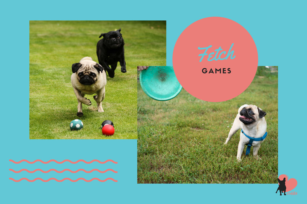 pug-activities-fetch-games