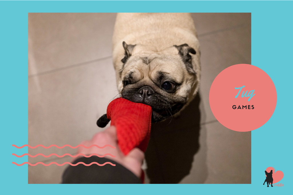 pug-activities-tug-games