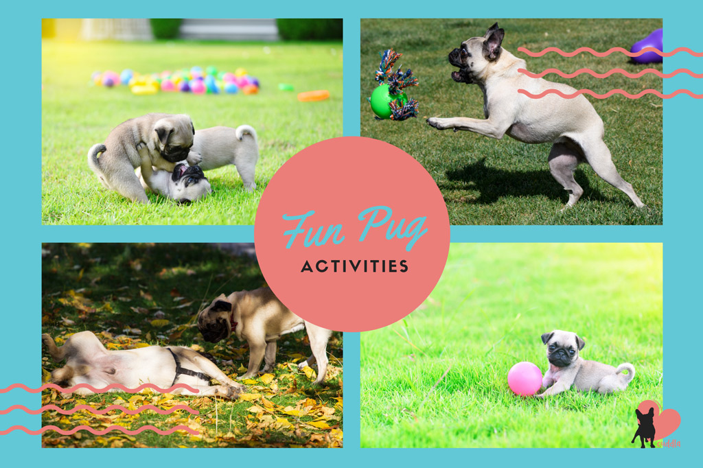 pug-activities