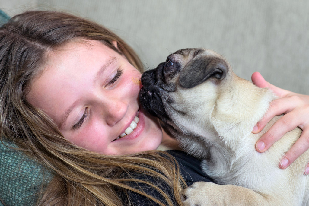 pug-licking-kissing