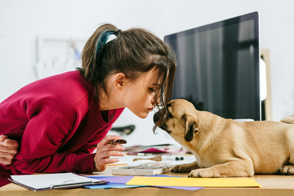 pug-temperament-loving