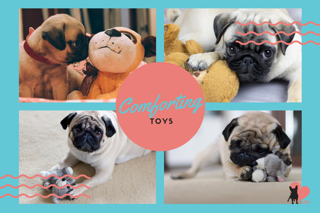 What Do Pugs Like to Play With? 10 Fun Pug Activities