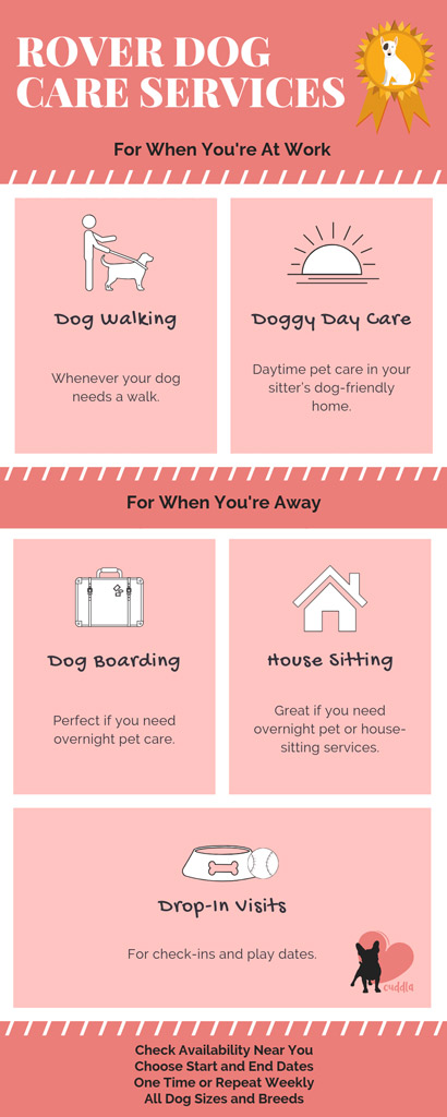 Rover dog care services