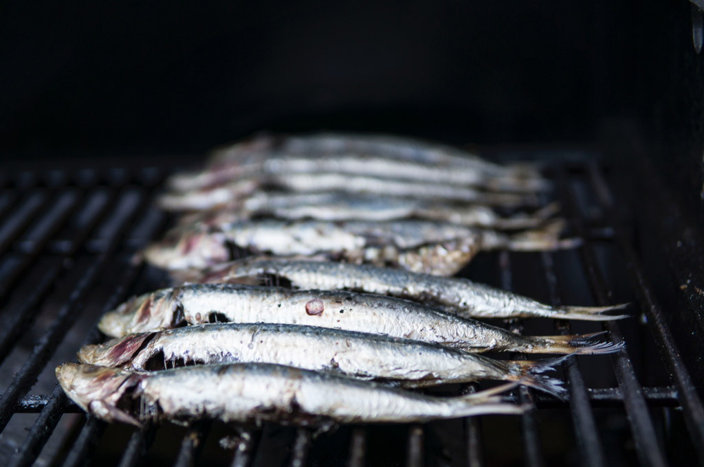 sardines-treat-for-dogs