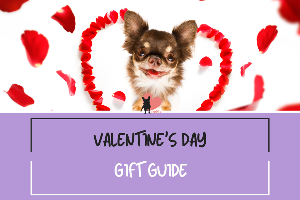 valentines-day-gift-guide-for-dog-owners