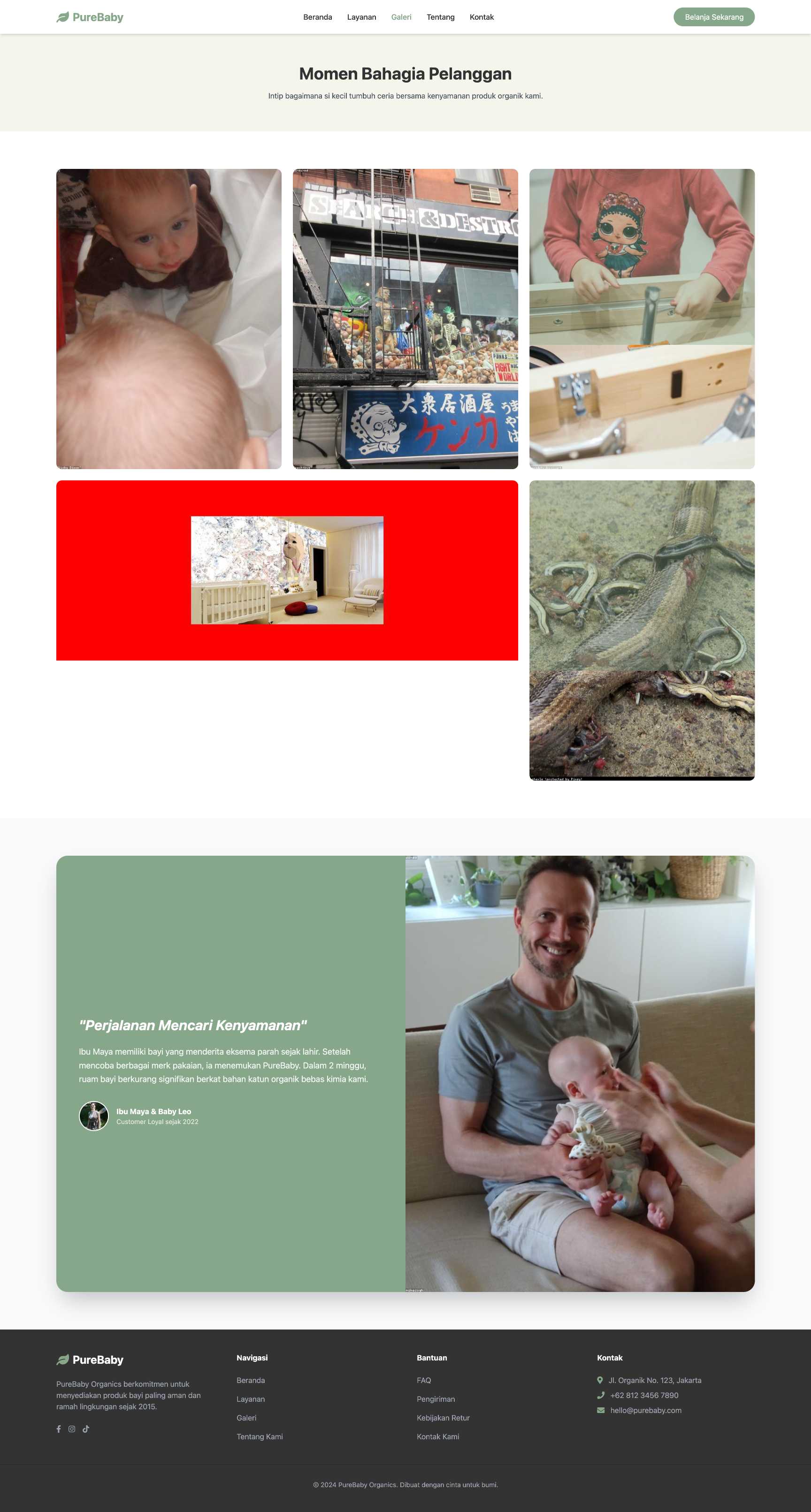 Toko Perlengkapan Bayi Organik | Portfolio