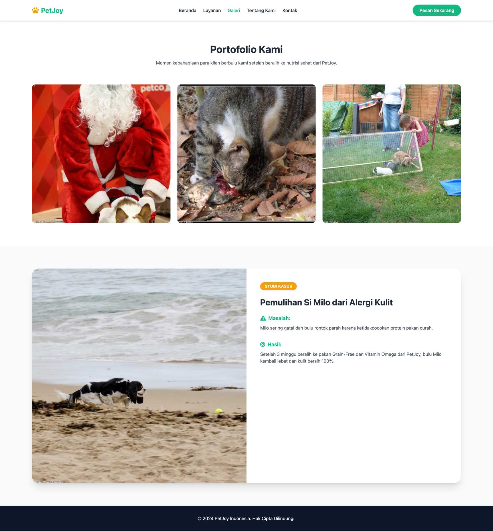 Toko Pakan & Aksesoris Hewan (Pet Shop) | Portfolio