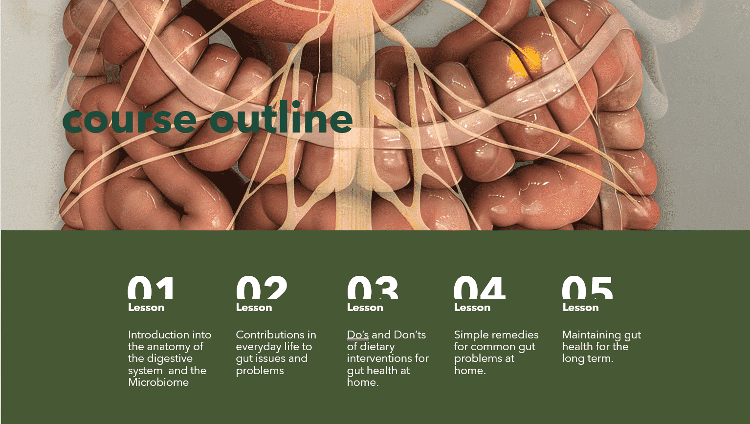 Health at Home- Gut Health 1 a diagram of human organs