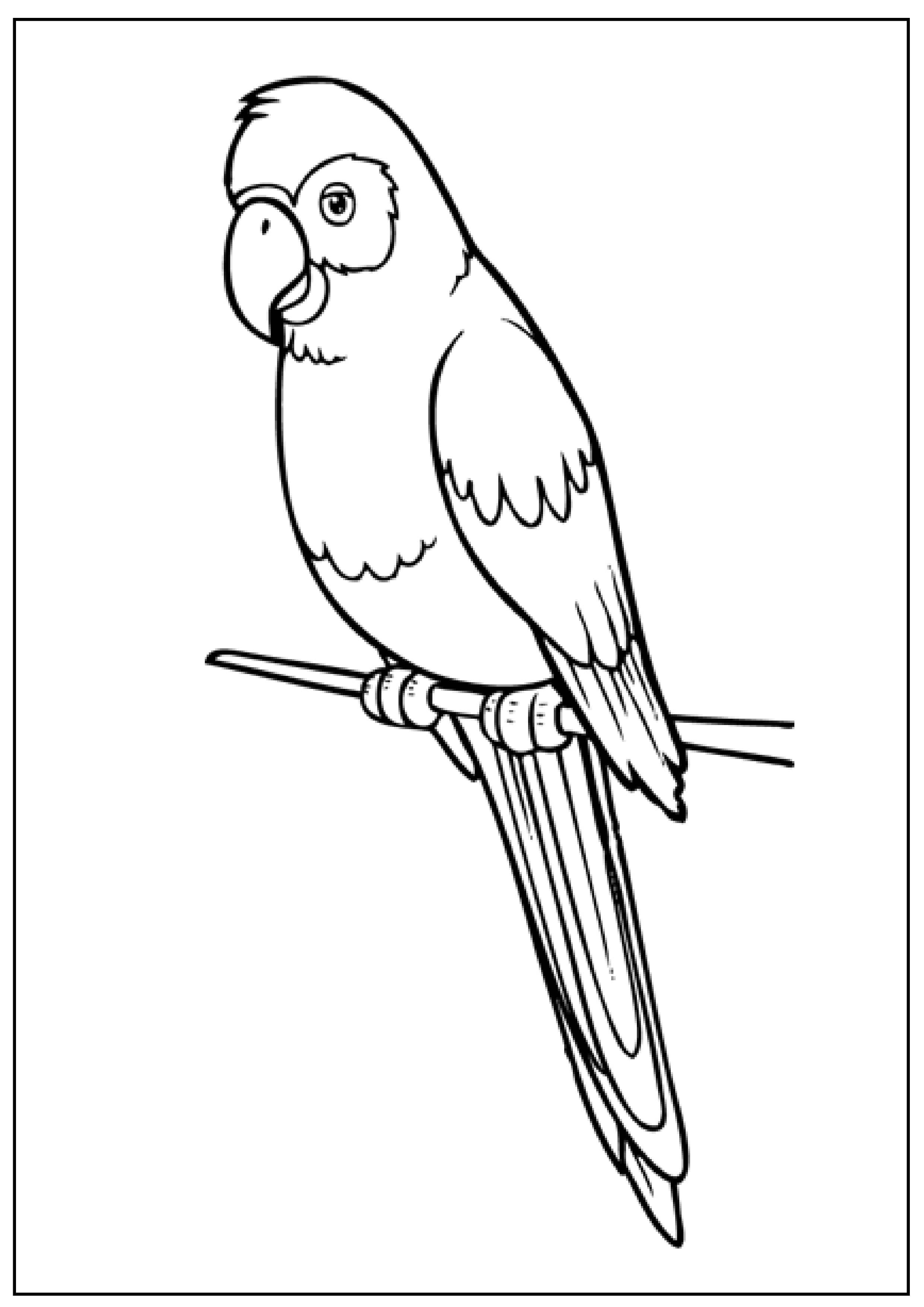 Download Free Coloring Pages | Fox Meadows Art