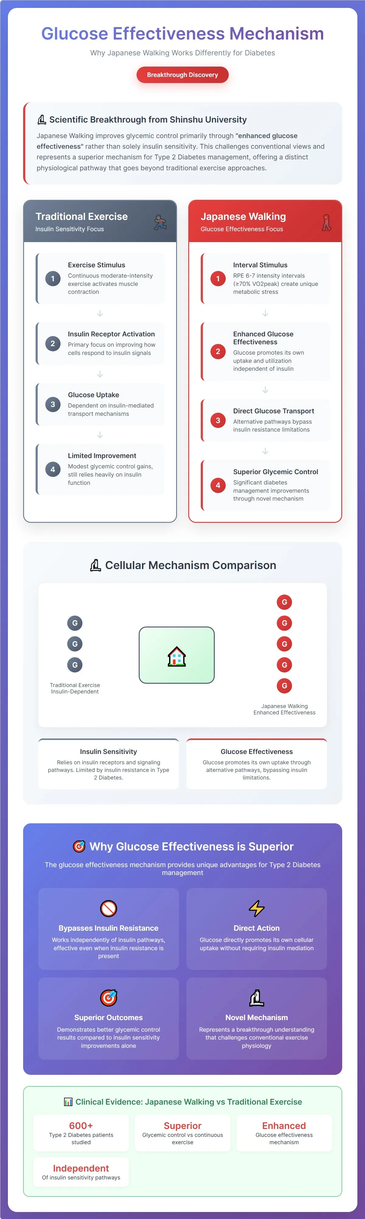 Glucose effectiveness mechanism diagram scientific illustration