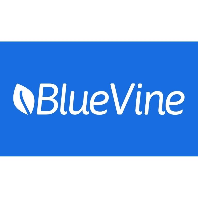 Bluevine Business Checking