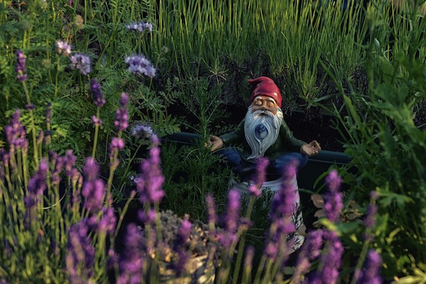 meditating gnome