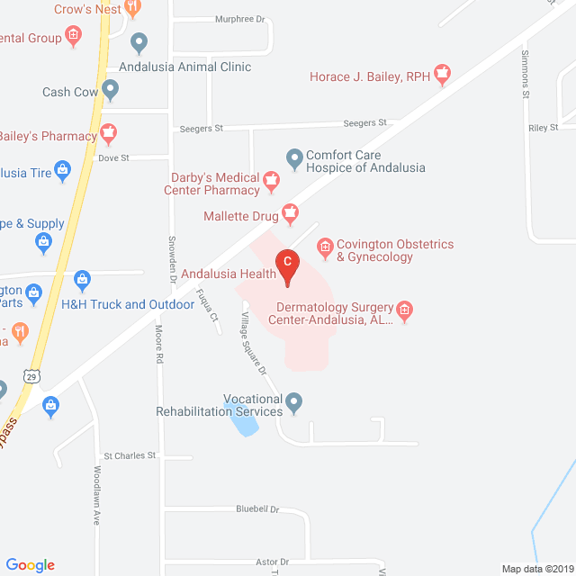 Andalusia Regional Hospital Medicalrecords Com