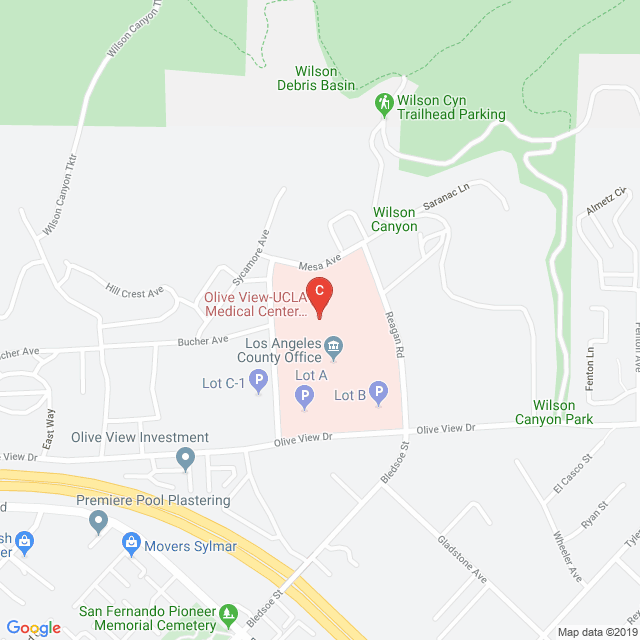 Lac Olive View Ucla Medical Center Medicalrecords Com