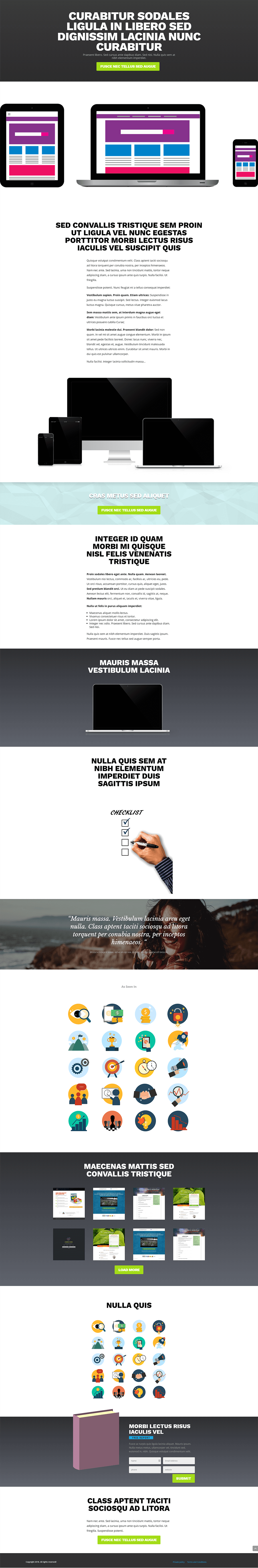 Mega-Landing-Page-Elegant-Authority-full