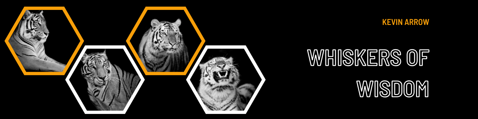 Whiskers of Wisdom LinkedIn Newsletter 