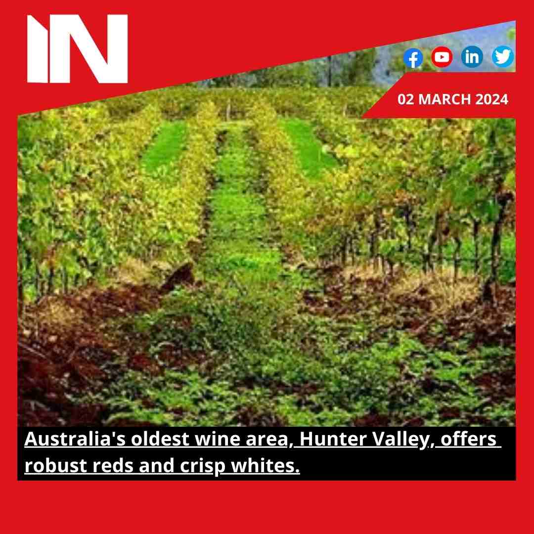 Australia’s oldest wine area, Hunter Valley, offers robust reds and crisp whites.