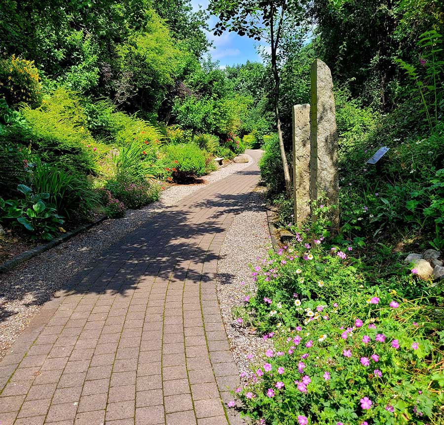 1.-Main-picture-Ballon-Tree-Trail_opt