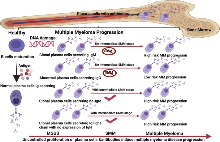 MULTIPLE MYELOMA: UNRAVELING PATHOGENESIS, CLINICAL MANIFESTATIONS, AND DIAGNOSTIC APPROACHES