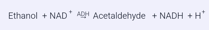 1000045907
