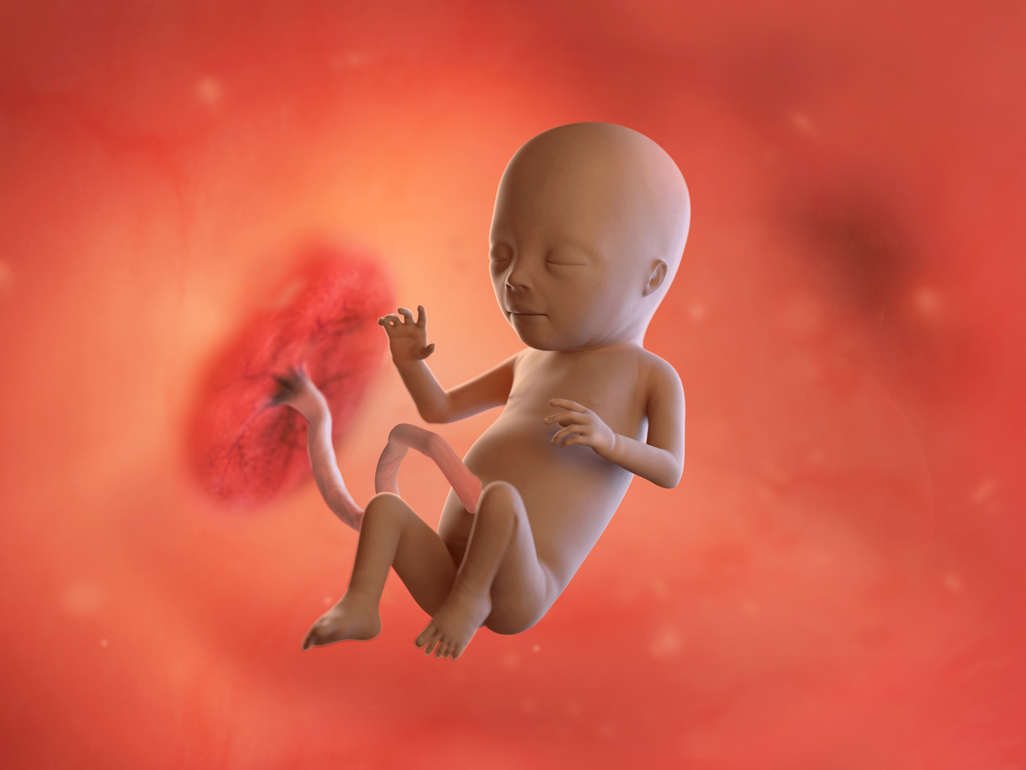 NEONATAL PHYSIOLOGY BASICS YOU SHOULD KNOW