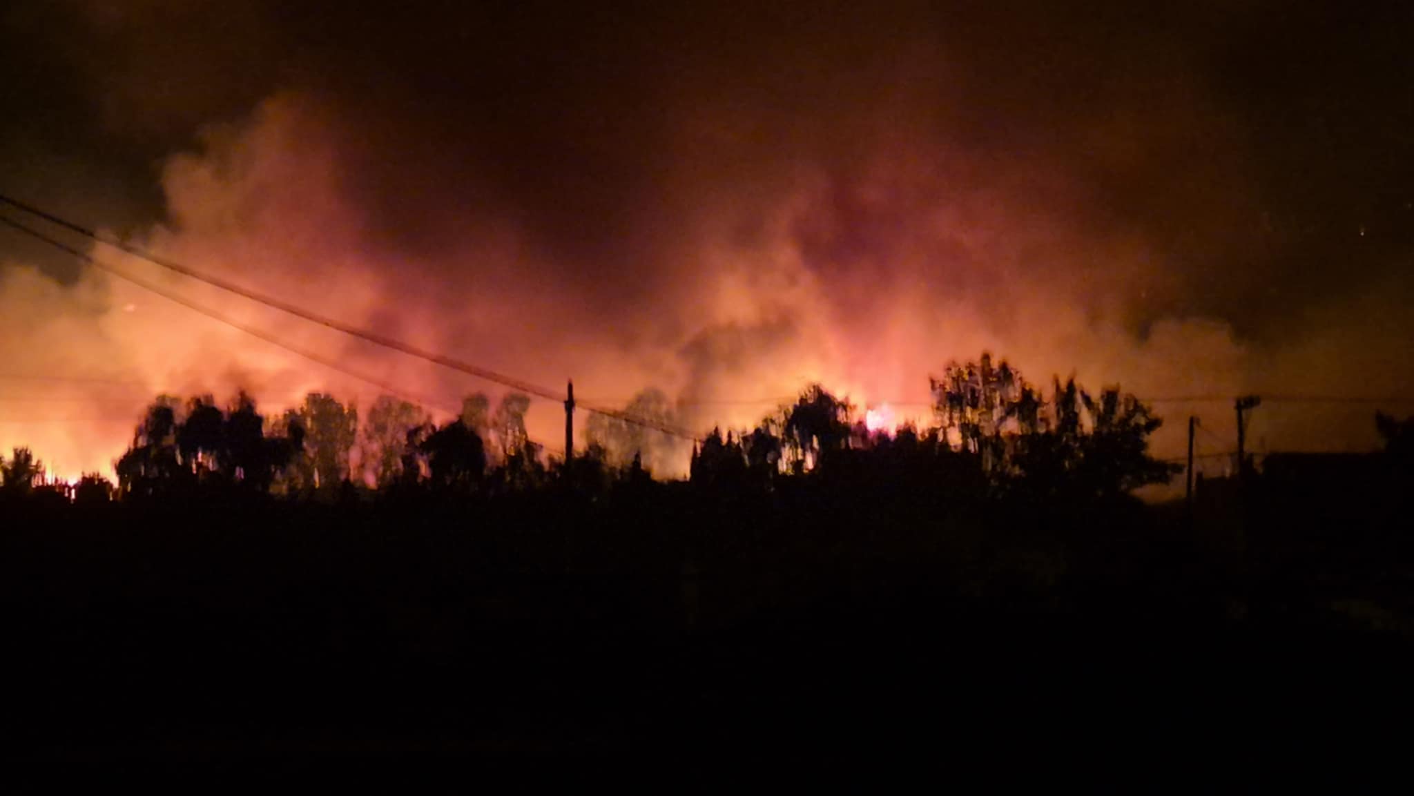 Φωτιές Αχαΐας: 550 αυτοκίνητα κάηκαν στο Τελωνείο Πάτρας