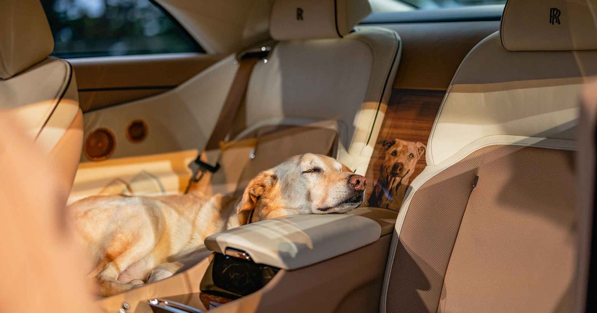 Μια Rolls-Royce Spectre αφιερωμένη σε έναν αξιαγάπητο σκύλο (photos)