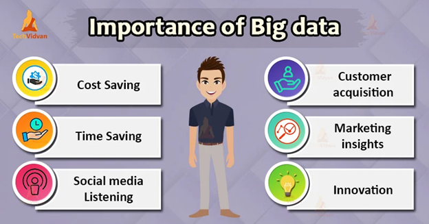 The Importance of Big Data