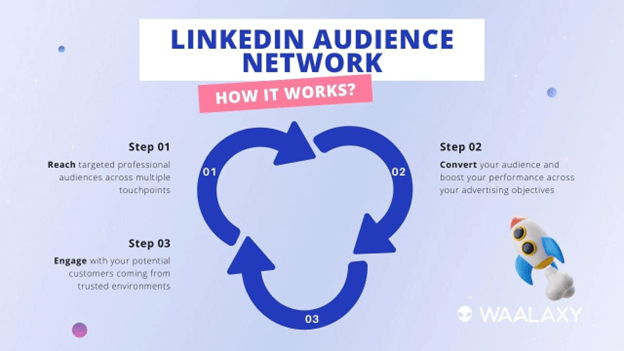 Understanding the LinkedIn Audience